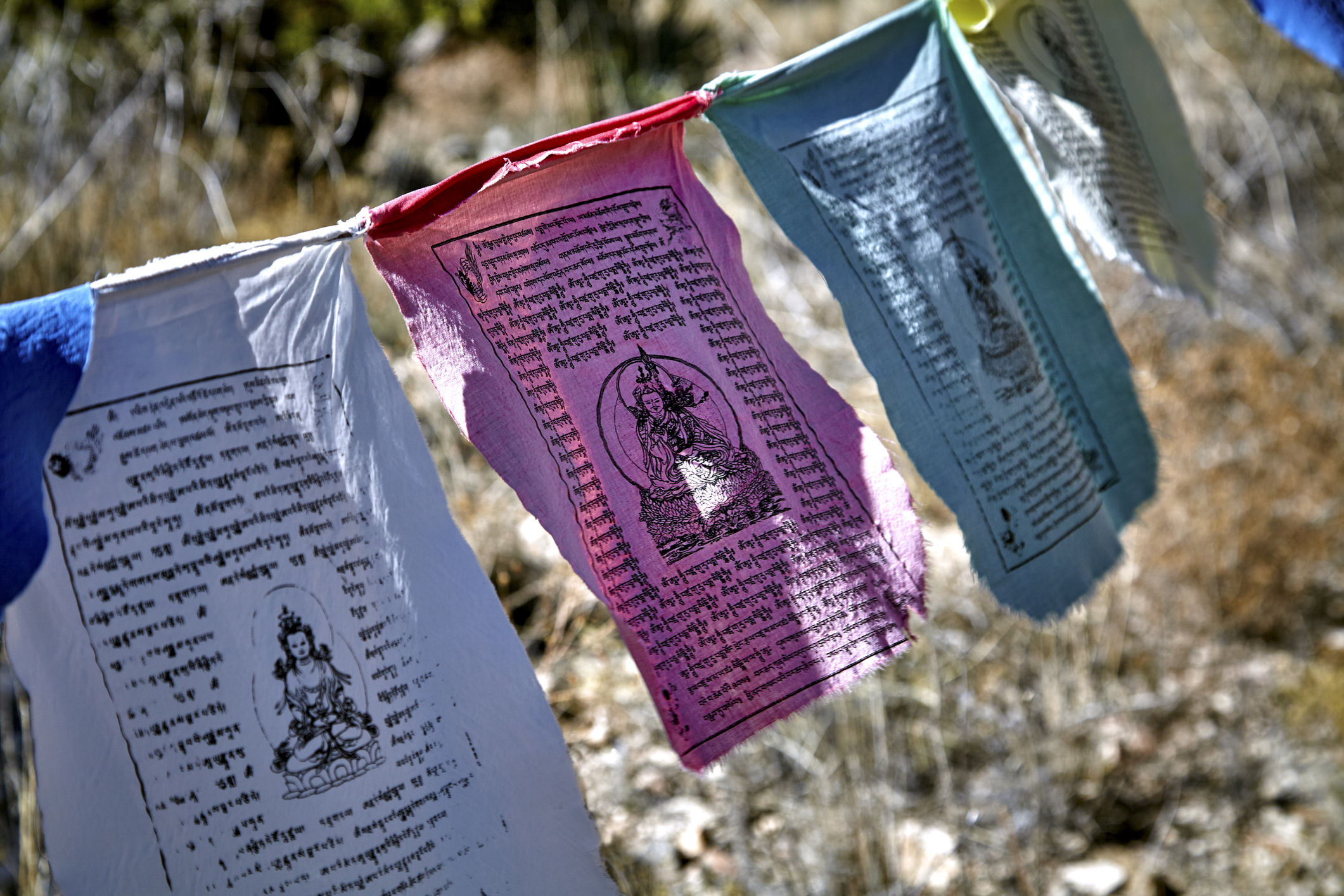 GOYA Dharma Talk | June 2026